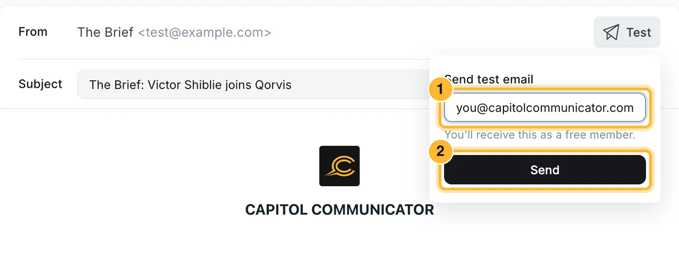 The Send test email box with the address field and the Send button marked