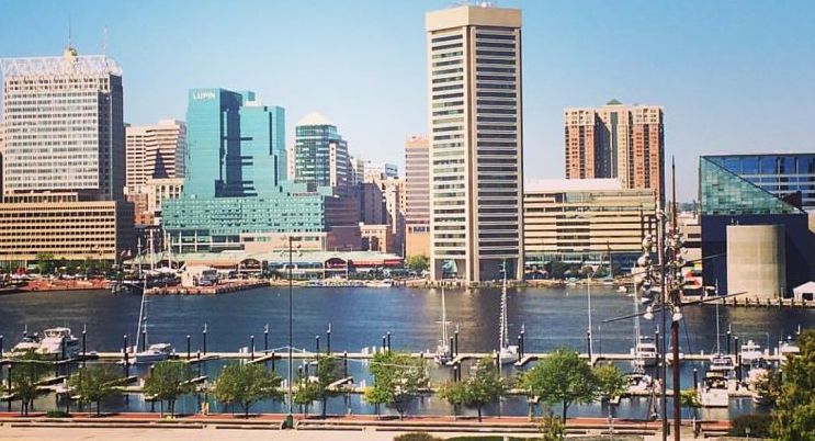 Buzz in Baltimore: News from MGH; Points North Studio; Mindgrub and GKV