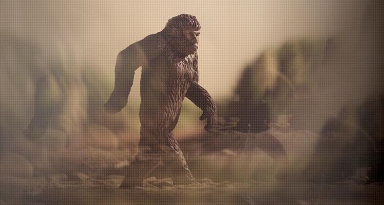 Cade Martin Photographs Bigfoot for Smithsonian Magazine