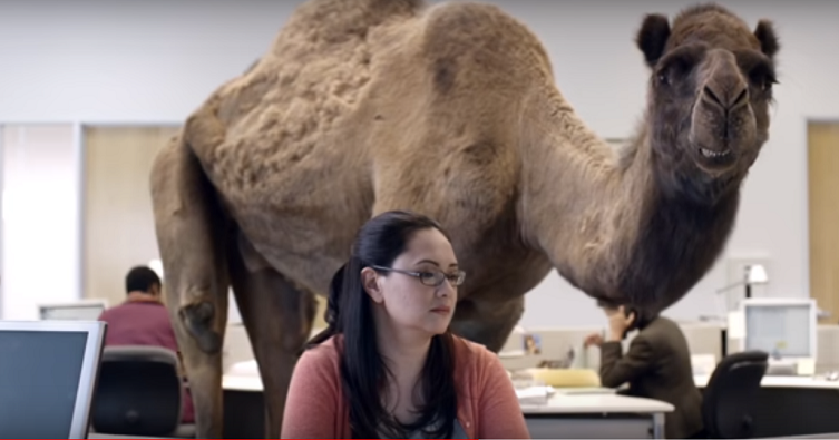 GEICO Humpday ad