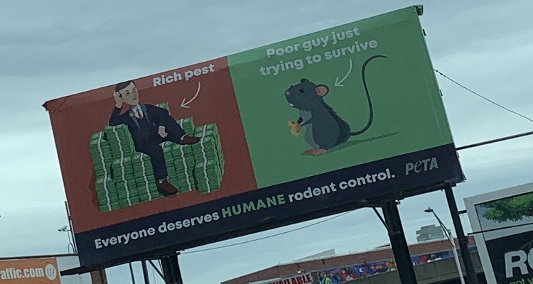Humane ​Rodent Control