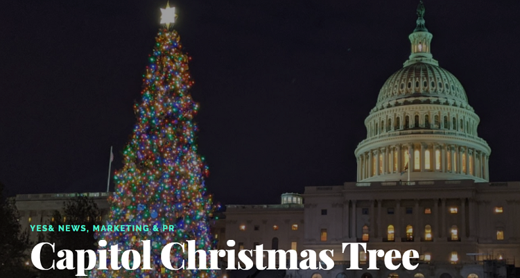 Yes& Promotes FMCSA’s Role in Capitol Christmas Tree Journey Through Social Media Content and News Pitching