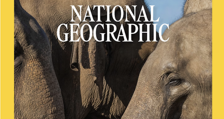 Capitol Communicator reports that National Geographic magazine laid off all remaining staff writers.